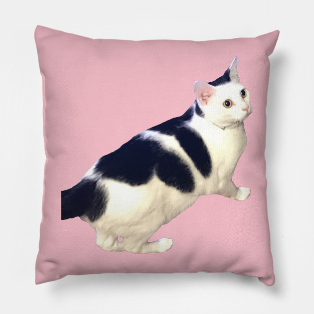 black and white cat pillow