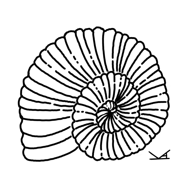 Ammonite Fossil by FernheartDesign