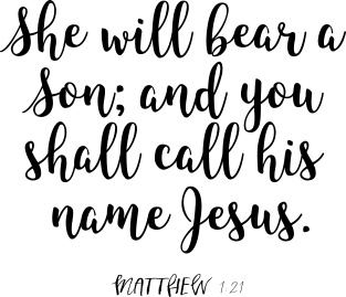 Matthew 1:21 Christmas Scripture Magnet