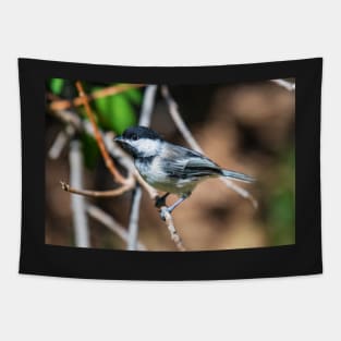 Chickadee Tapestry