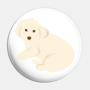 Maltipoo Dog Staring Pin