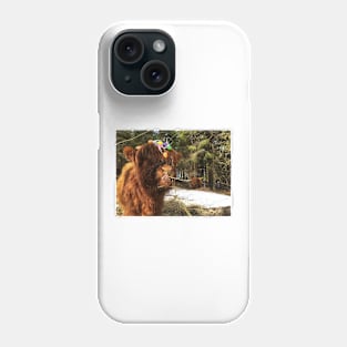 Scottish Highland Cattle Calf 1972 Phone Case