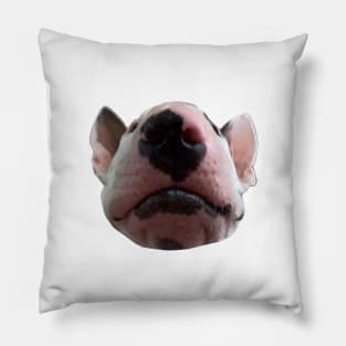 Hey Arnold, the Bull Terrier Pillow