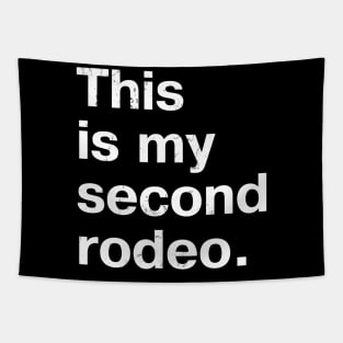 "This is my second rodeo." in plain white letters - cos you're not the noob, but barely Tapestry