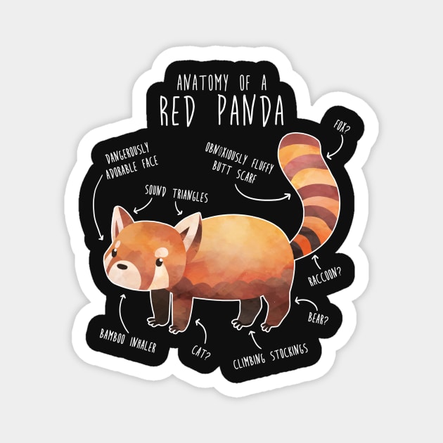 Red Panda Anatomy Magnet by Psitta