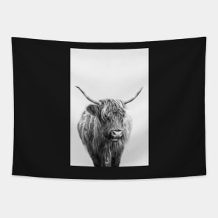 Highlander Cow In Black And White Tapestry