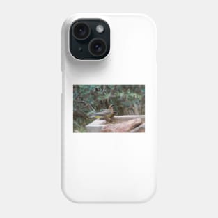 Cedar Waxwings at the Watering Hole Phone Case