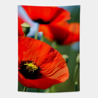 Close Up in a Field of Red Poppies (MD23Mrl009) Tapestry