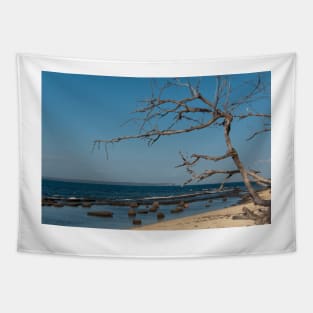 Jervis Bay Tapestry