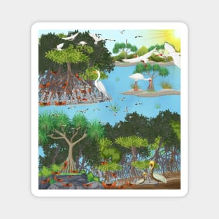 Mangrove Magnet