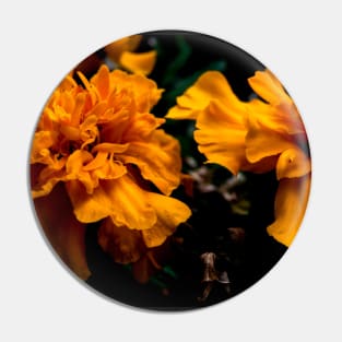 Flowers in bloom Pin