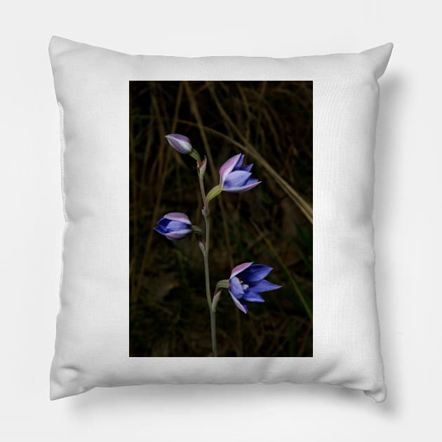 Sun Orchid Posy Pillow by GP1746