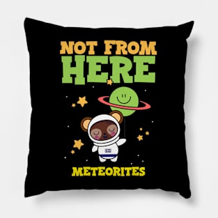 Meteorite Collector "Not From Here - Meteorites" Meteorite Pillow