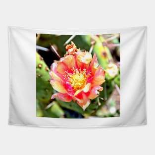 Red and Yellow Cactus Flower Bloom Tapestry