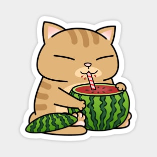 Chubby Cat Watermelon Magnet