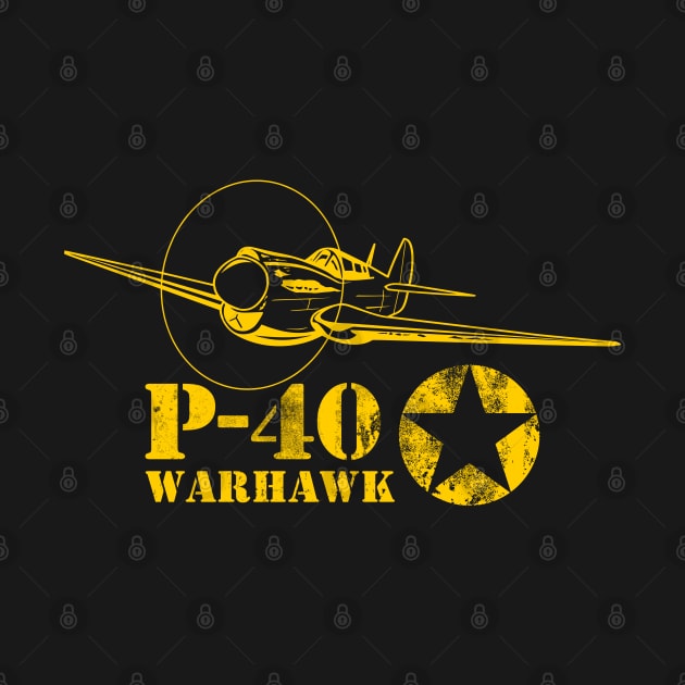 P-40 Warhawk (distressed) by TCP