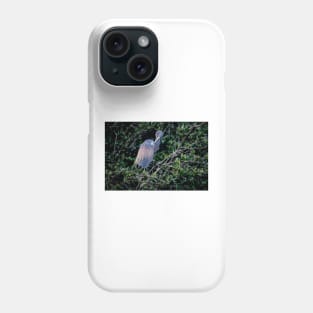 Dreamy Heron Phone Case