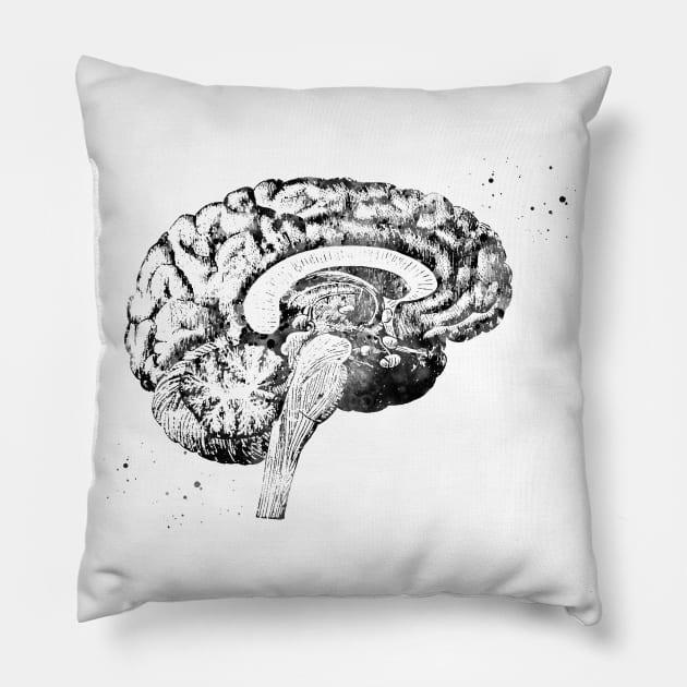 Brain anatomy Pillow by erzebeth