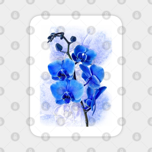 Awesome Beautiful Purple-Blue flower Magnet by Designdaily