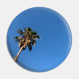 Palm Blue Sky Summer Pin