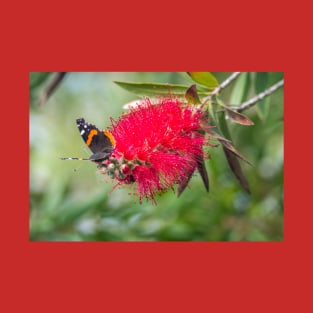 Red Admiral On A Red Bottlebrush Bloom T-Shirt