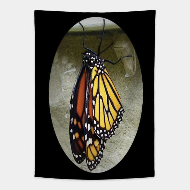 Monarch Butterfly Tapestry by ARTWORKandBEYOND