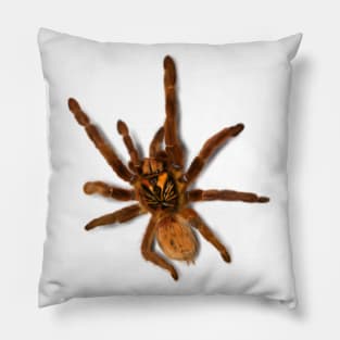 Orange Bitey Thing Pillow