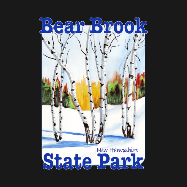 Bear Brook State Park, New Hampshire by MMcBuck