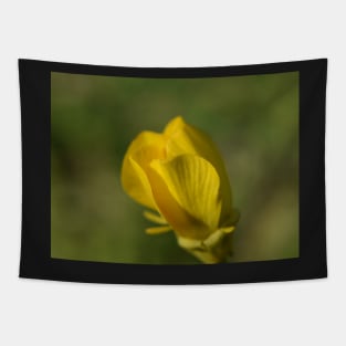 Buttercup 23 Tapestry