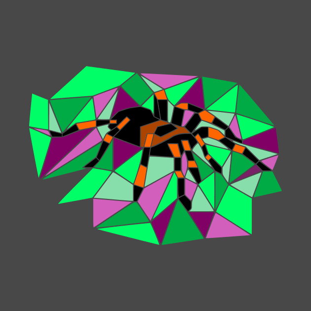 Geometric tarantula by Wild Geometric