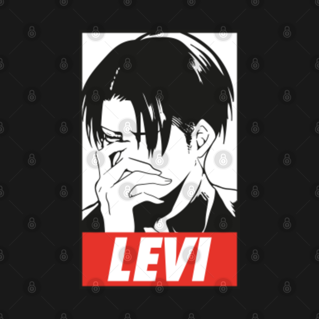 levis manga