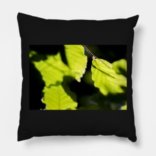 Life on a leaf Pillow