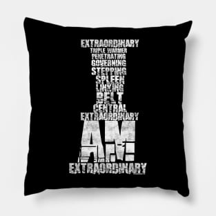 I am Extraordinary Pillow