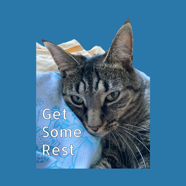 Get Some Rest Kitty by Amanda1775