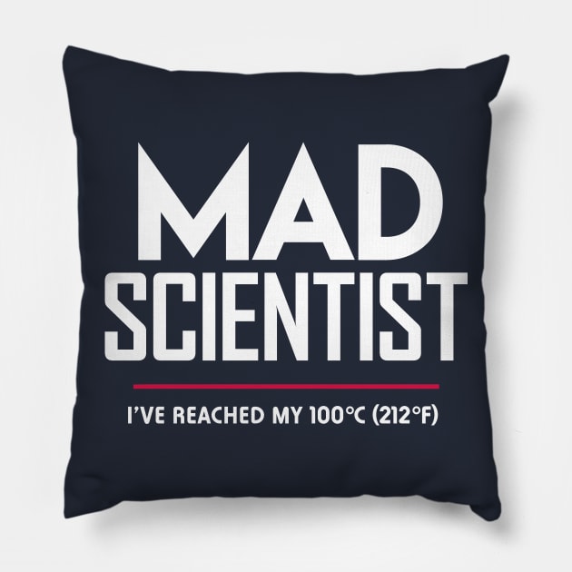 Mad Scientist: Science March Protest (I've Reached my Boiling Point) Pillow by Boots