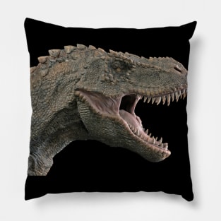 dinasour Pillow