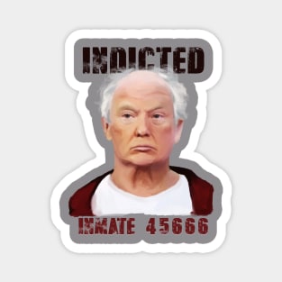 Indicted Inmate 45666 Magnet