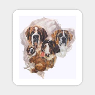 Saint Bernard Medley Magnet