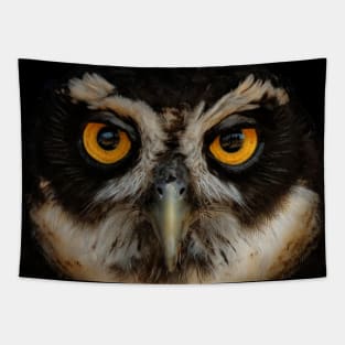 Trading Glances with a Spectacled Owl Tapestry