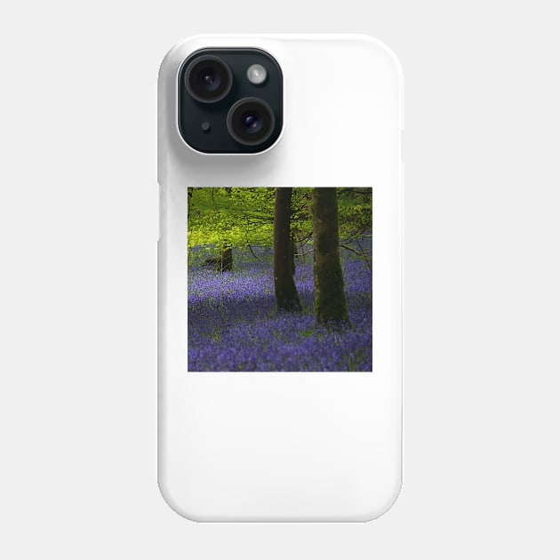 Bluebells in Knockmany Forest Phone Case by Aidymcg