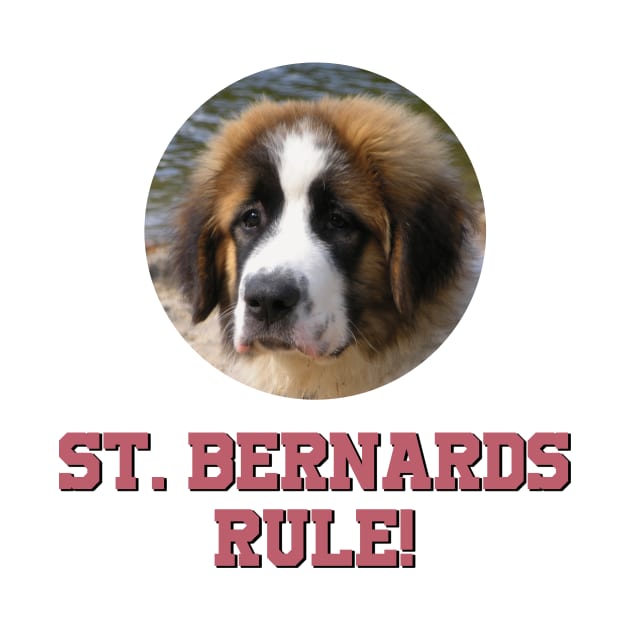 St. Bernards Rule! by Naves