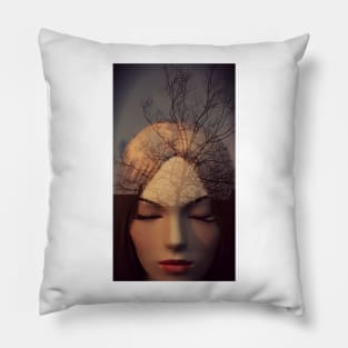 DREAM OF A SINGLE WOMAN Pillow