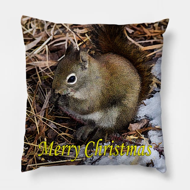 Merry Christmas Pillow by CanadianWild418