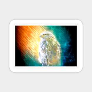 Kite Bird Animal Wildlife Forest Nature Outdoors Freedom Flight Digital Painting Magnet