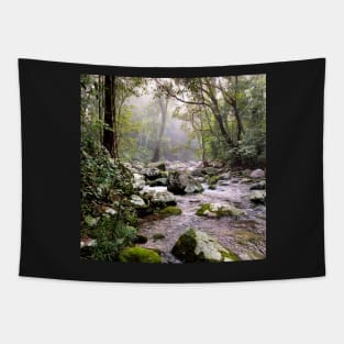 Misty Mountain Stream Tapestry