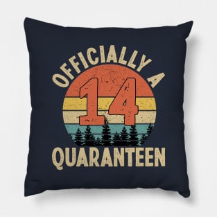 officially a quaranteen 14th birthday Pillow