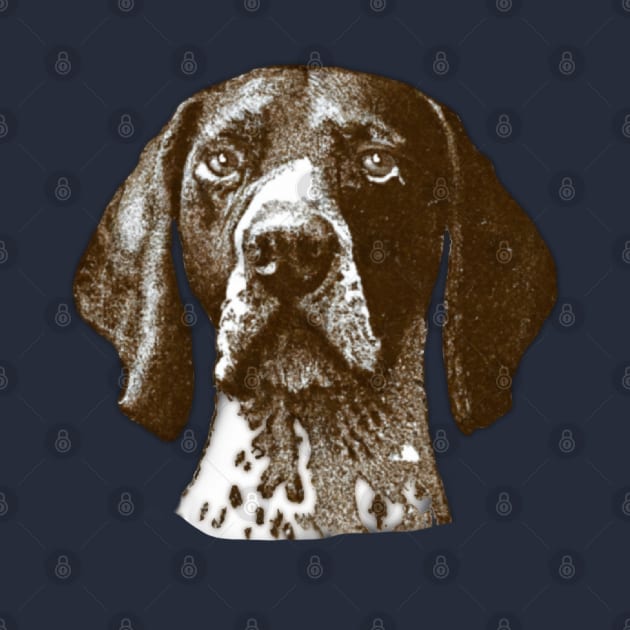 German Shorthaired Pointer by designedbyjamie