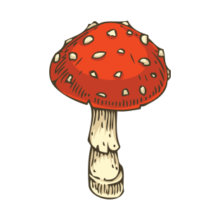 Red Amanita. Fly Agaric Mushroom T-Shirt