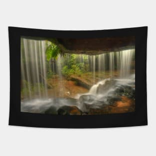 Lower Somersby Falls .. behind the veil Tapestry