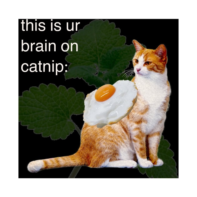 this is ur brain on catnip by imovrhere